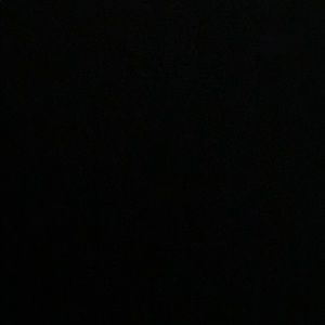 Meet your Posher, Lola